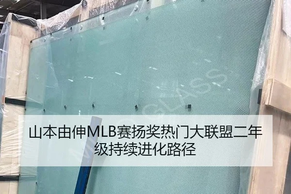 山本由伸MLB赛扬奖热门大联盟二年级持续进化路径