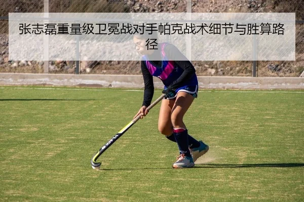张志磊重量级卫冕战对手帕克战术细节与胜算路径